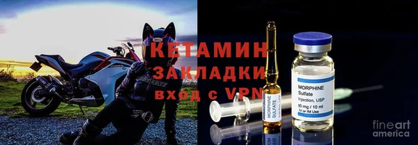 стаф Гусев