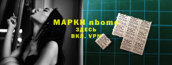 шишки Дмитровск