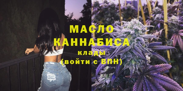 шишки Дмитровск