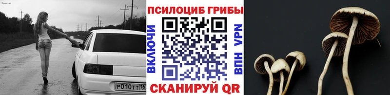 Галлюциногенные грибы Cubensis  Купить где  Кодинск 